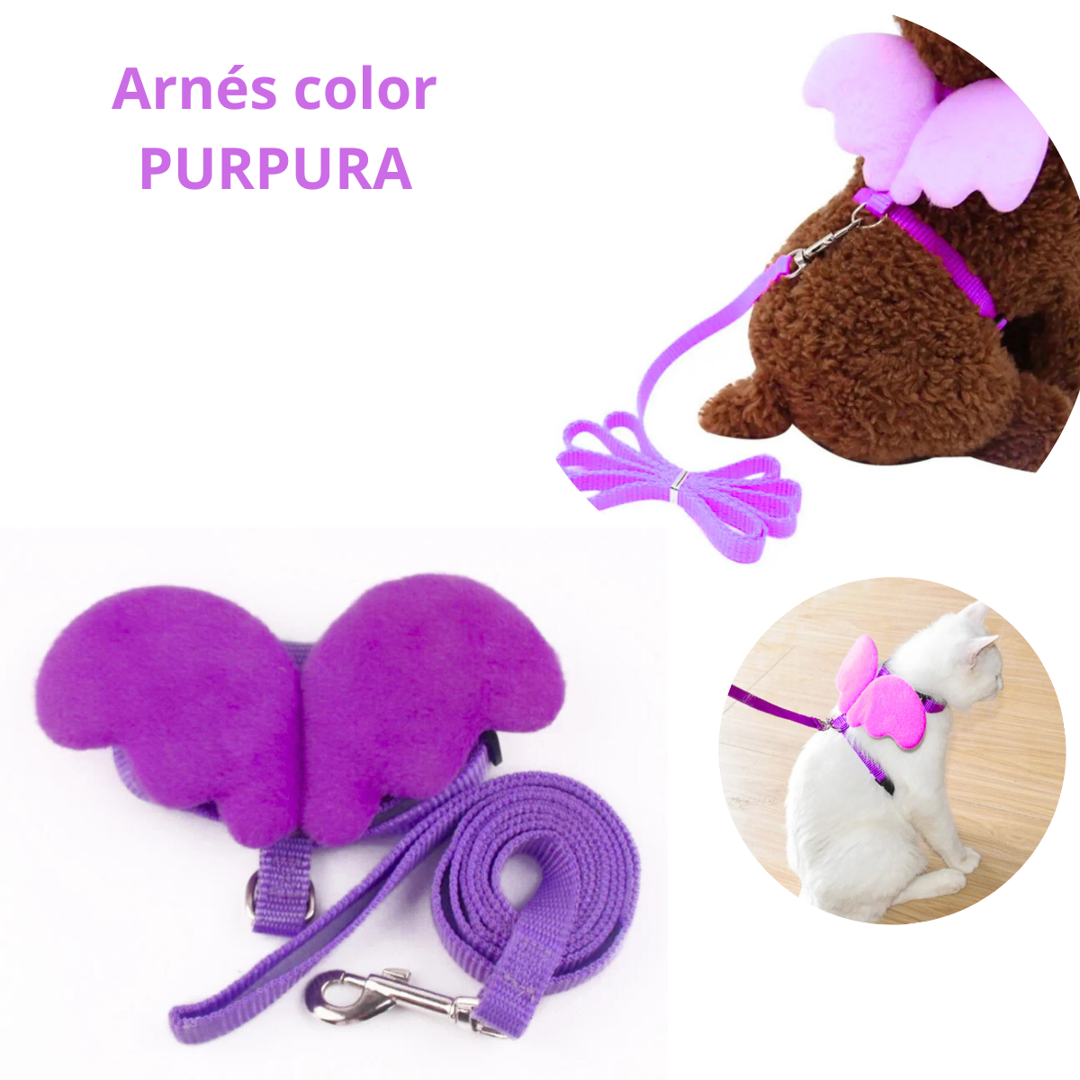 ARNES CON ALAS Y CORREA CHICO - PURPURA