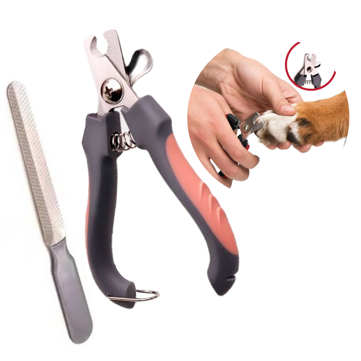 CORTAUÑAS PARA MASCOTAS Y LIMA CORAL C-SEGURO T-GRANDE