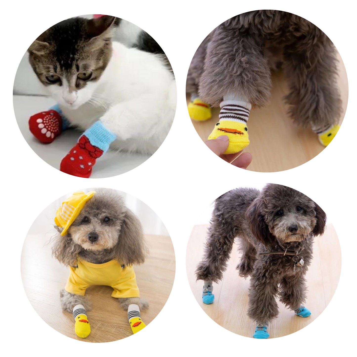 SET DE 4 MEDIAS ANTIDESLIZANTES PARA PERROS Y GATOS - MACHO