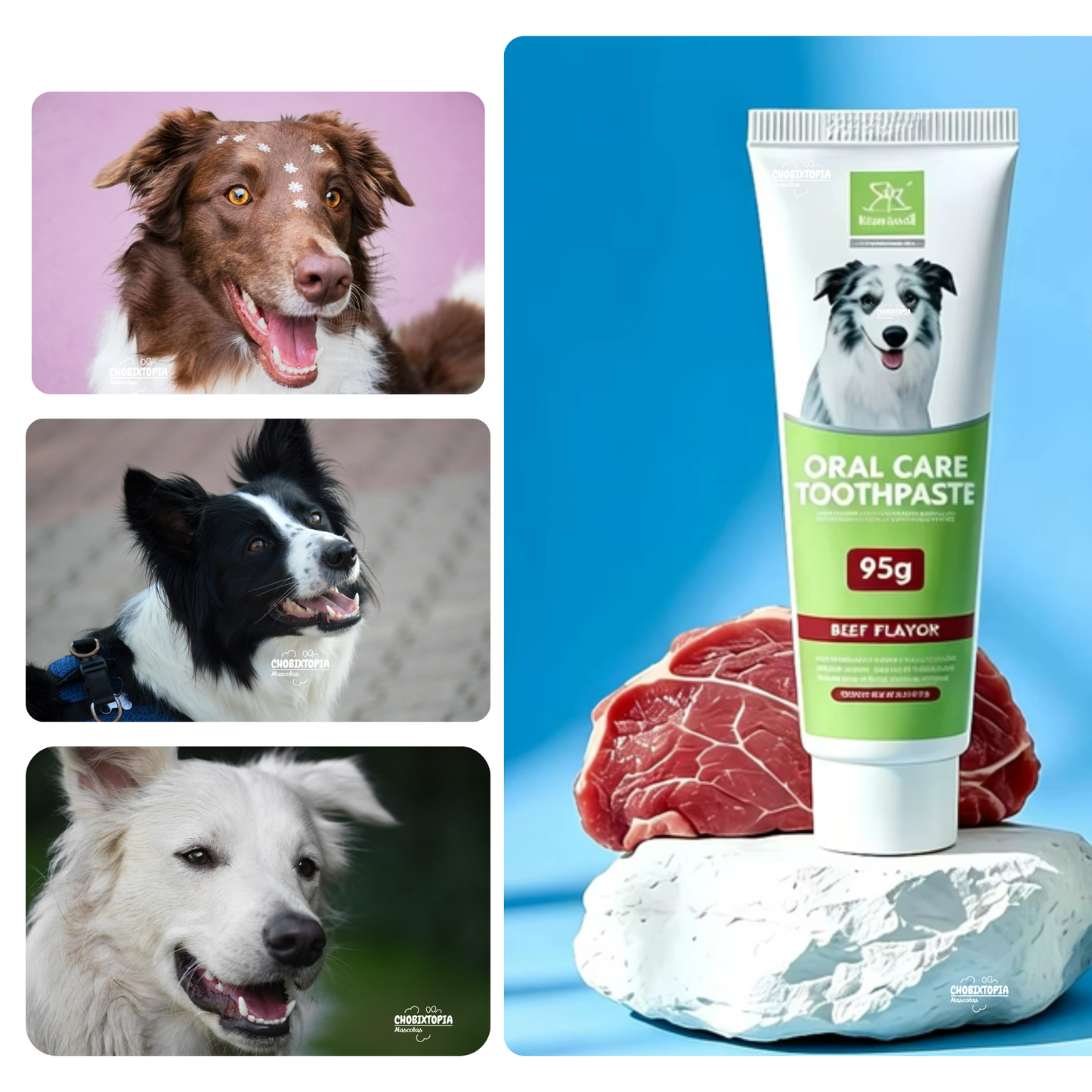 PASTA DENTAL PARA PERROS Y CACHORROS (ENVASE x 95g) SABOR A CARNE DE VACUNO