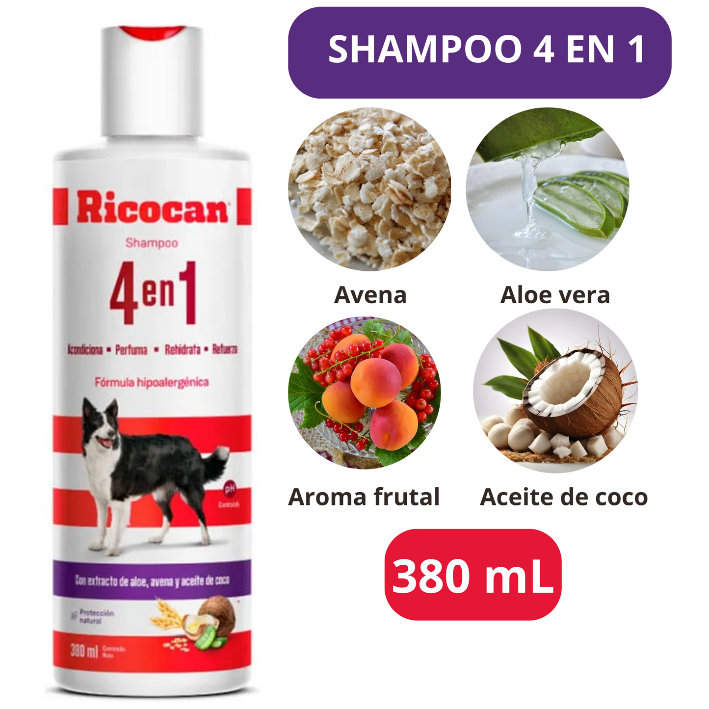 SHAMPOO RICOCAN ADULTO 4 en 1 380 ml