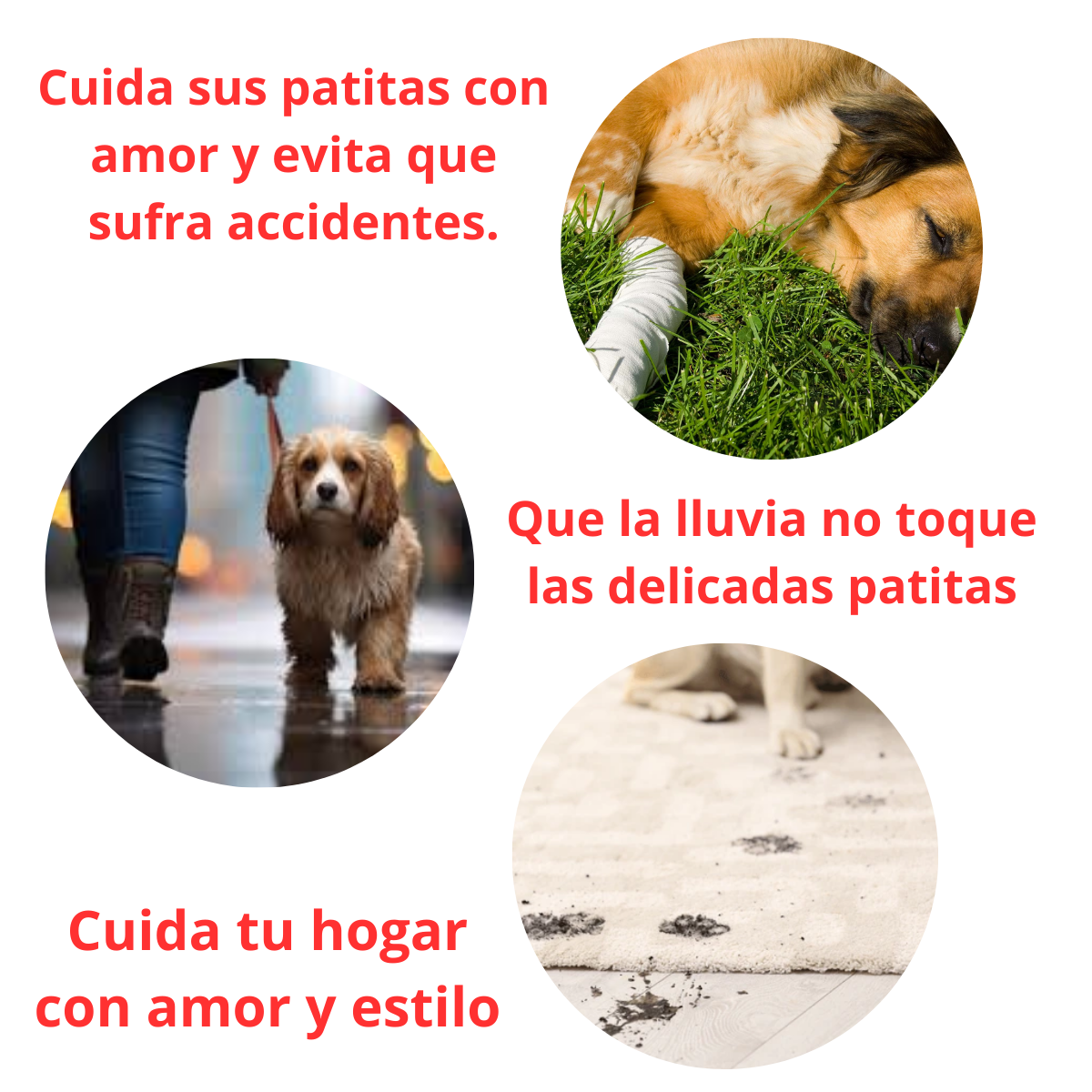 ZAPATOS IMPERMEABLES LILA