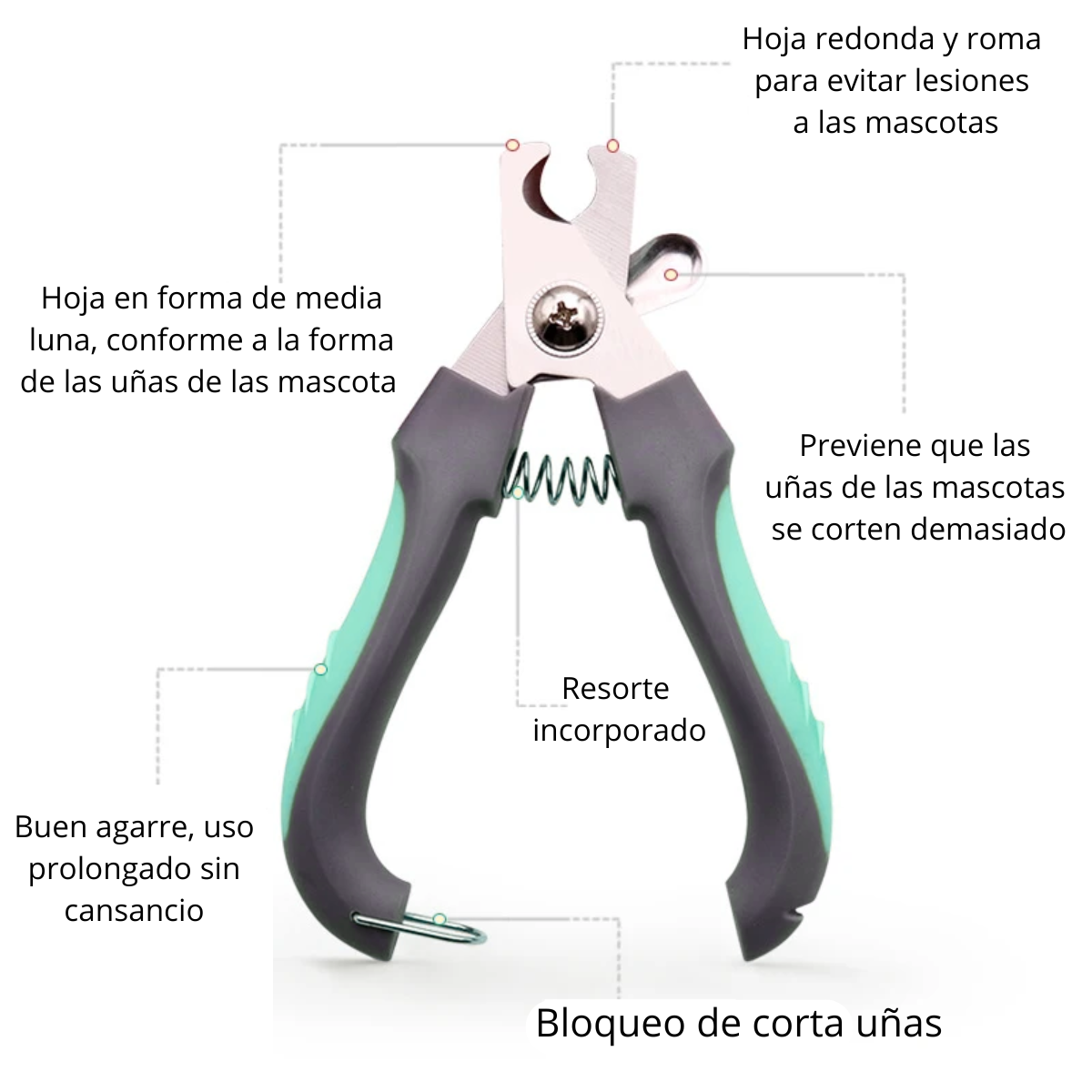 CORTAUÑAS PARA MASCOTAS Y LIMA VERDE AGUA C-SEGURO T-PEQUEÑO