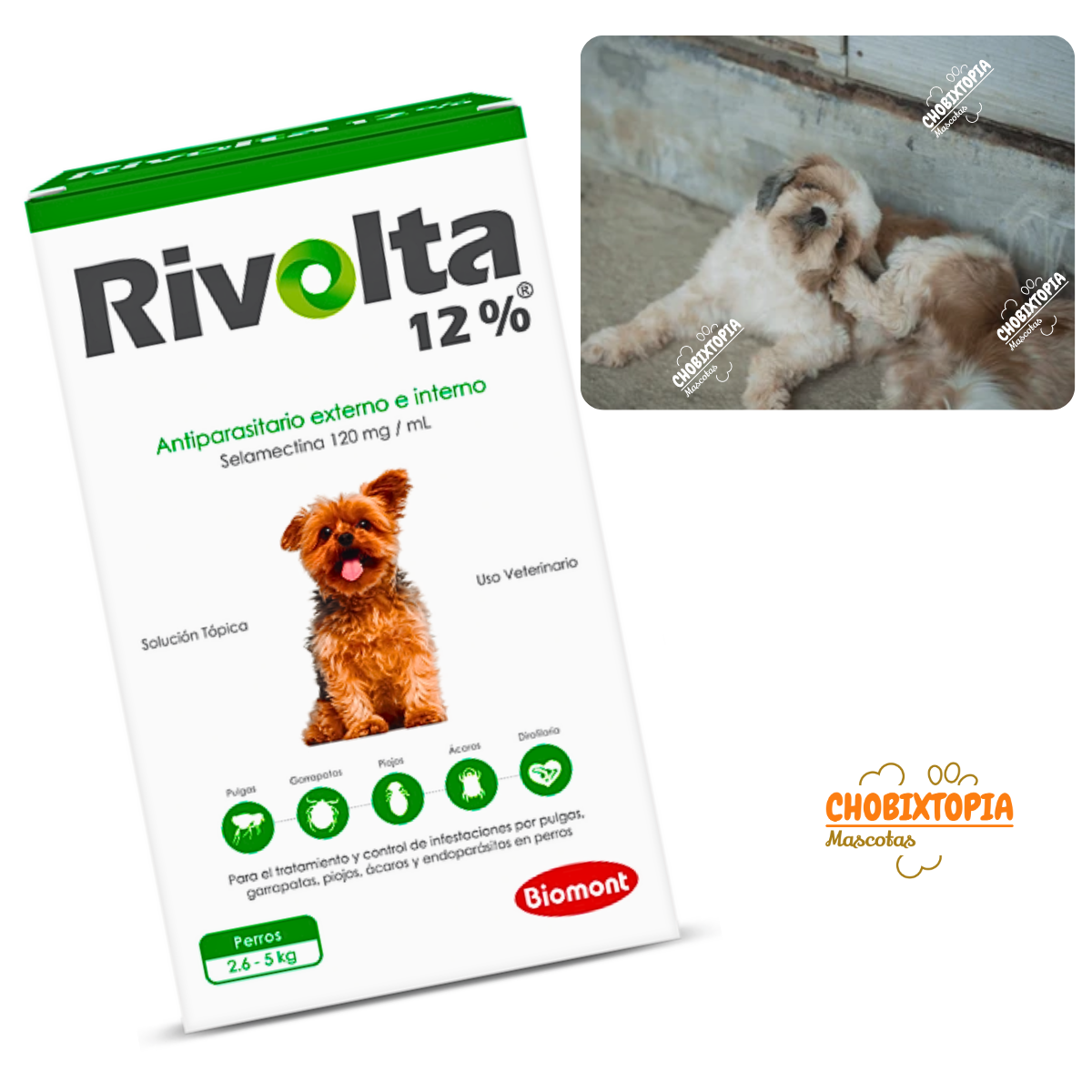RIVOLTA 12% PERROS 2.6 A 5KG - VERDE