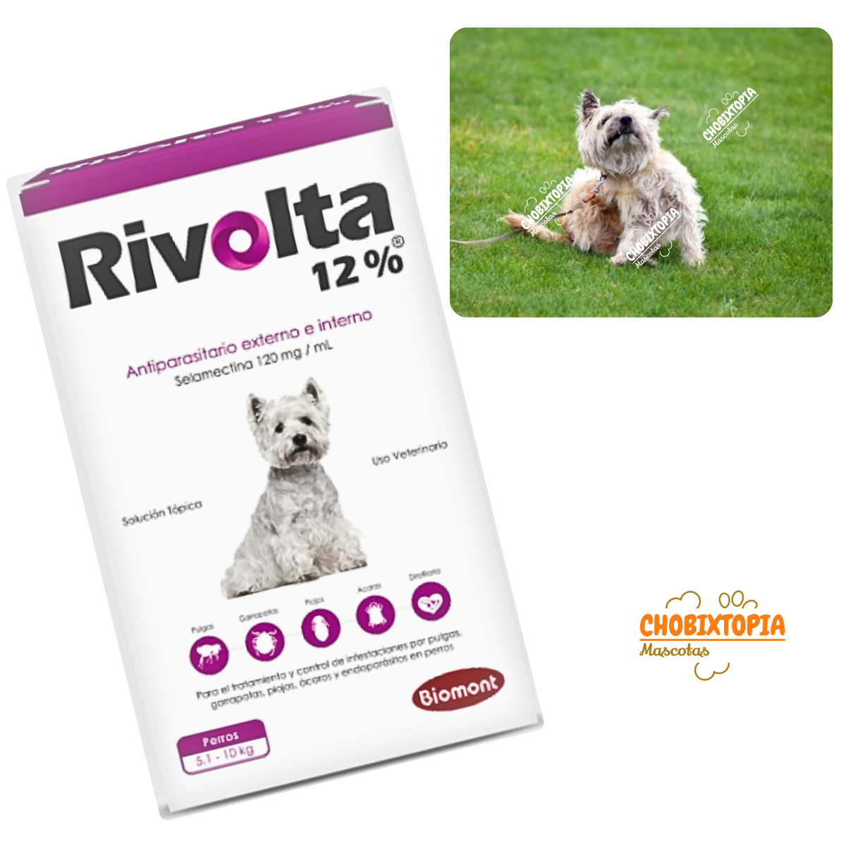 RIVOLTA 12% PERROS 5.1 A 10KG - VIOLETA