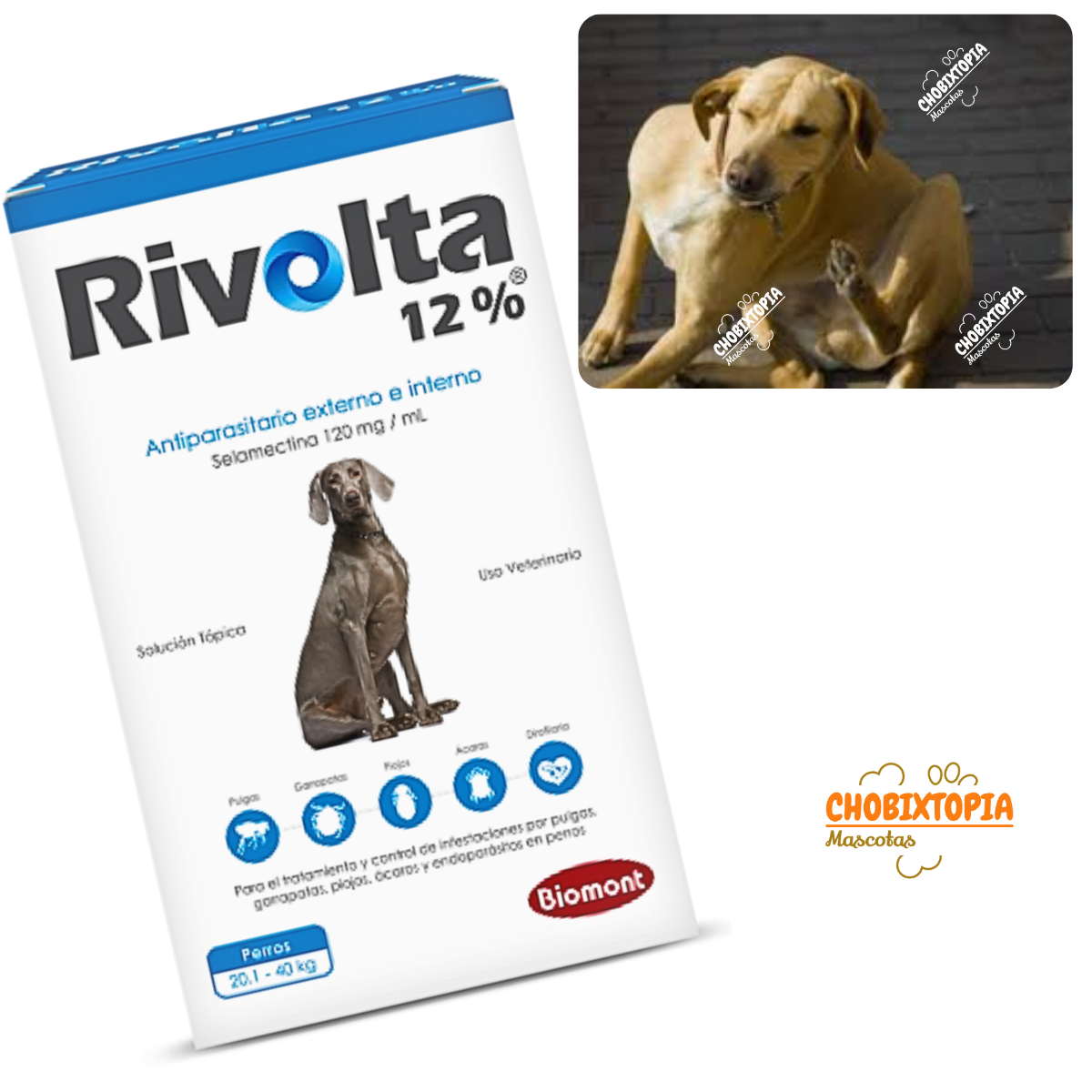 RIVOLTA 12% PERROS 20.1 A 40KG - CELESTE
