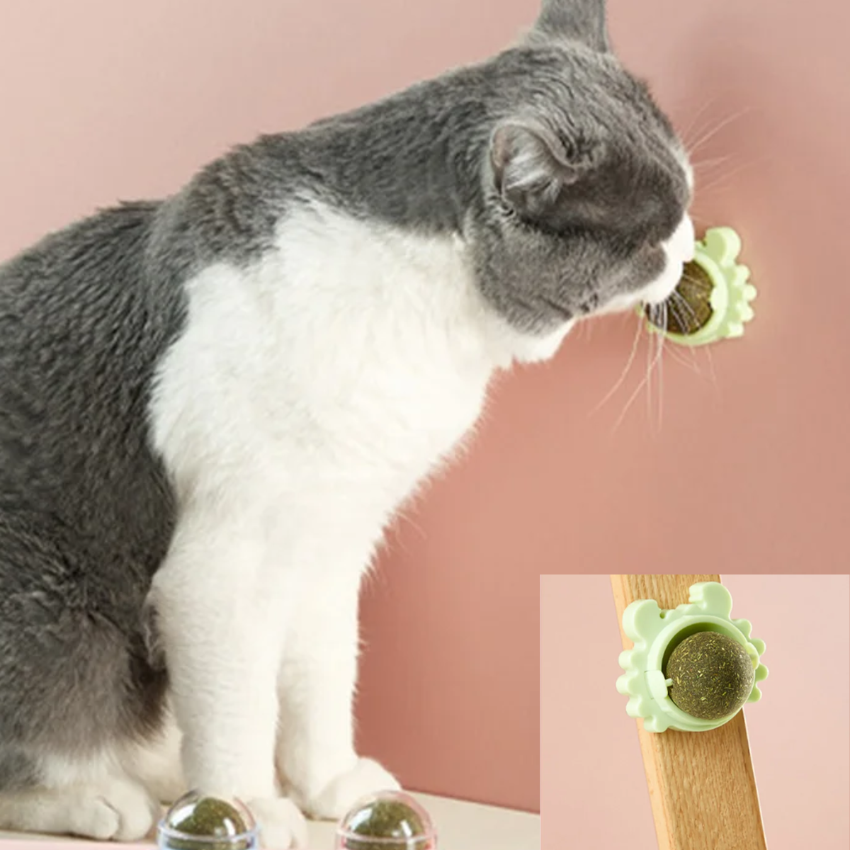 CATNIP CARA GATO ROSADA