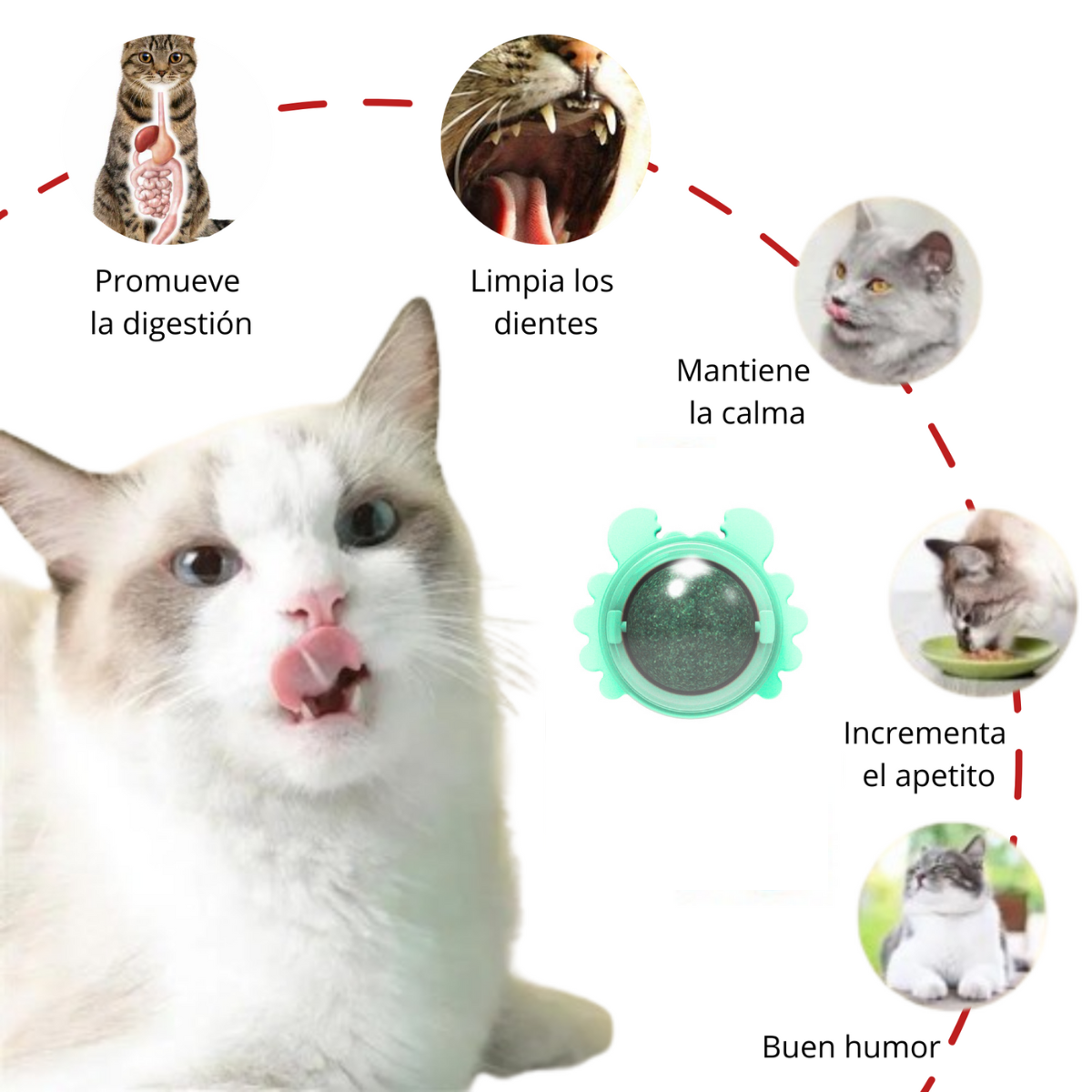 JUGUETE CATNIP CANGREJITO VERDE AGUA