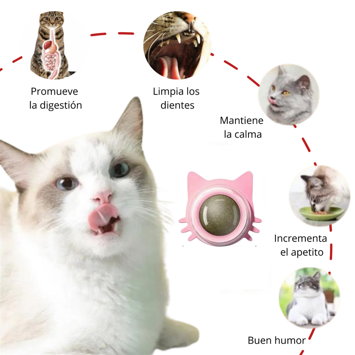 CATNIP CARA GATO ROSADA