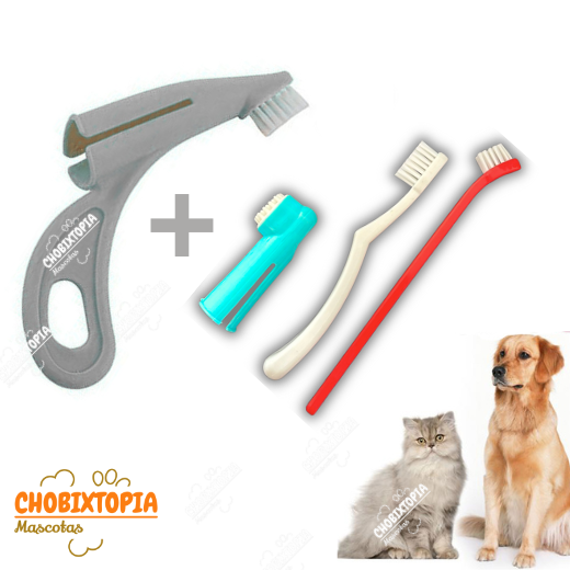 CEPILLO DENTAL 4 PACK - DEDAL PLOMO