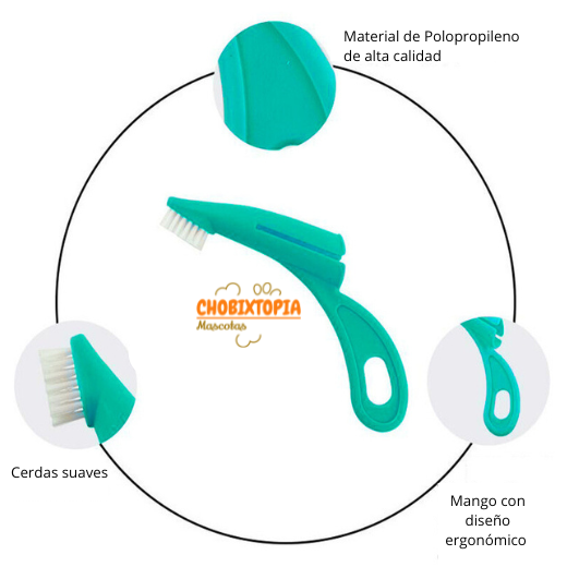 CEPILLO DENTAL 4 PACK - DEDAL TURQUESA