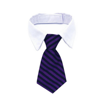 CORBATA CON CUELLO PARA MASCOTA MORADA RAYAS