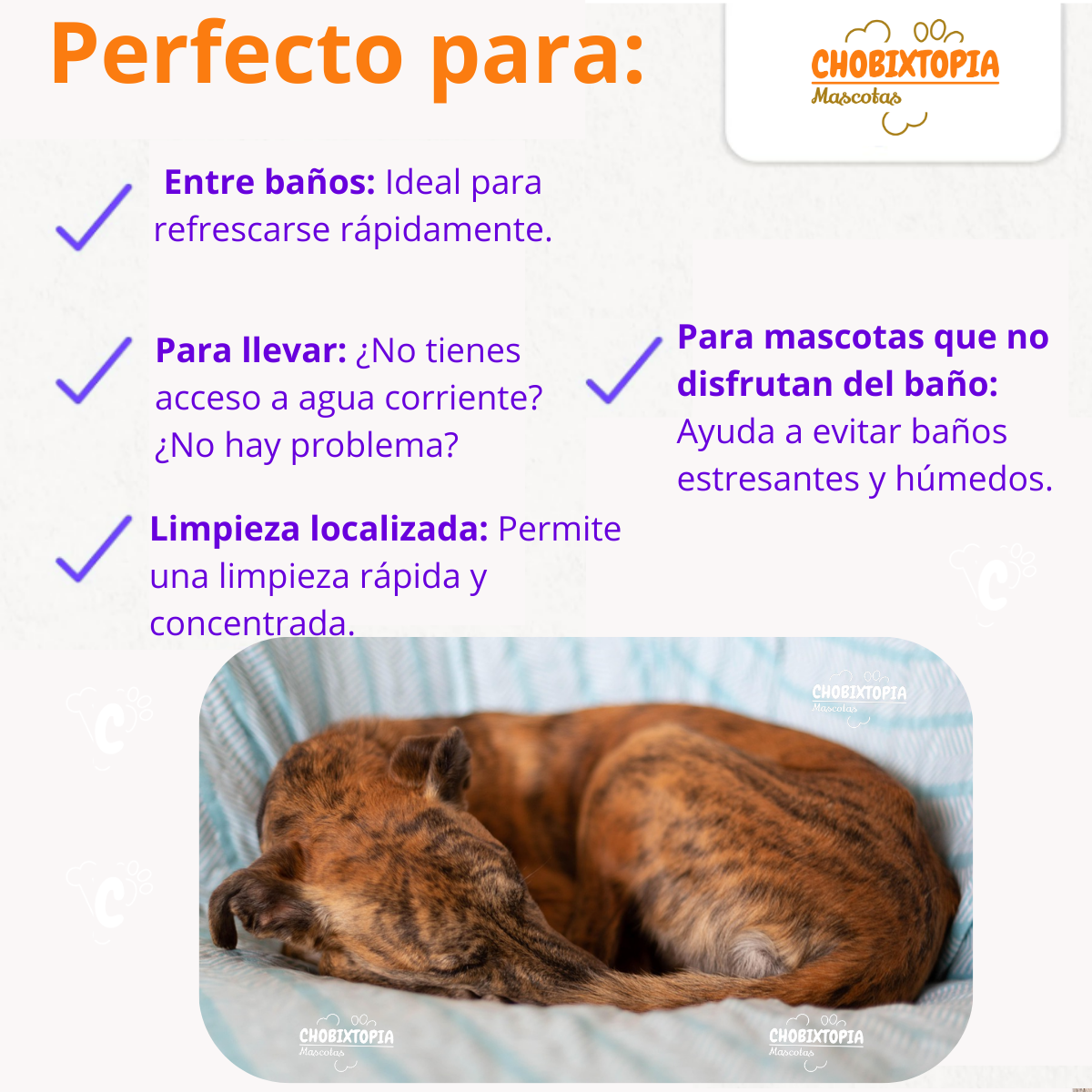 ESPUMA SHAMPOO FRUPPY HIPOALERGENICO PERROS x 300 mL