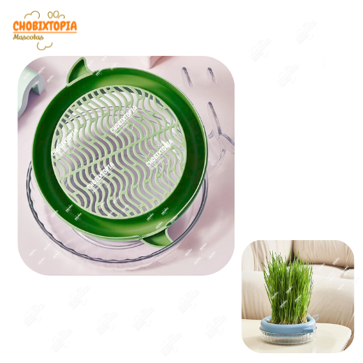 HIERBA GATERA MACETA BALLENA PARA GATOS - VERDE OLIVO