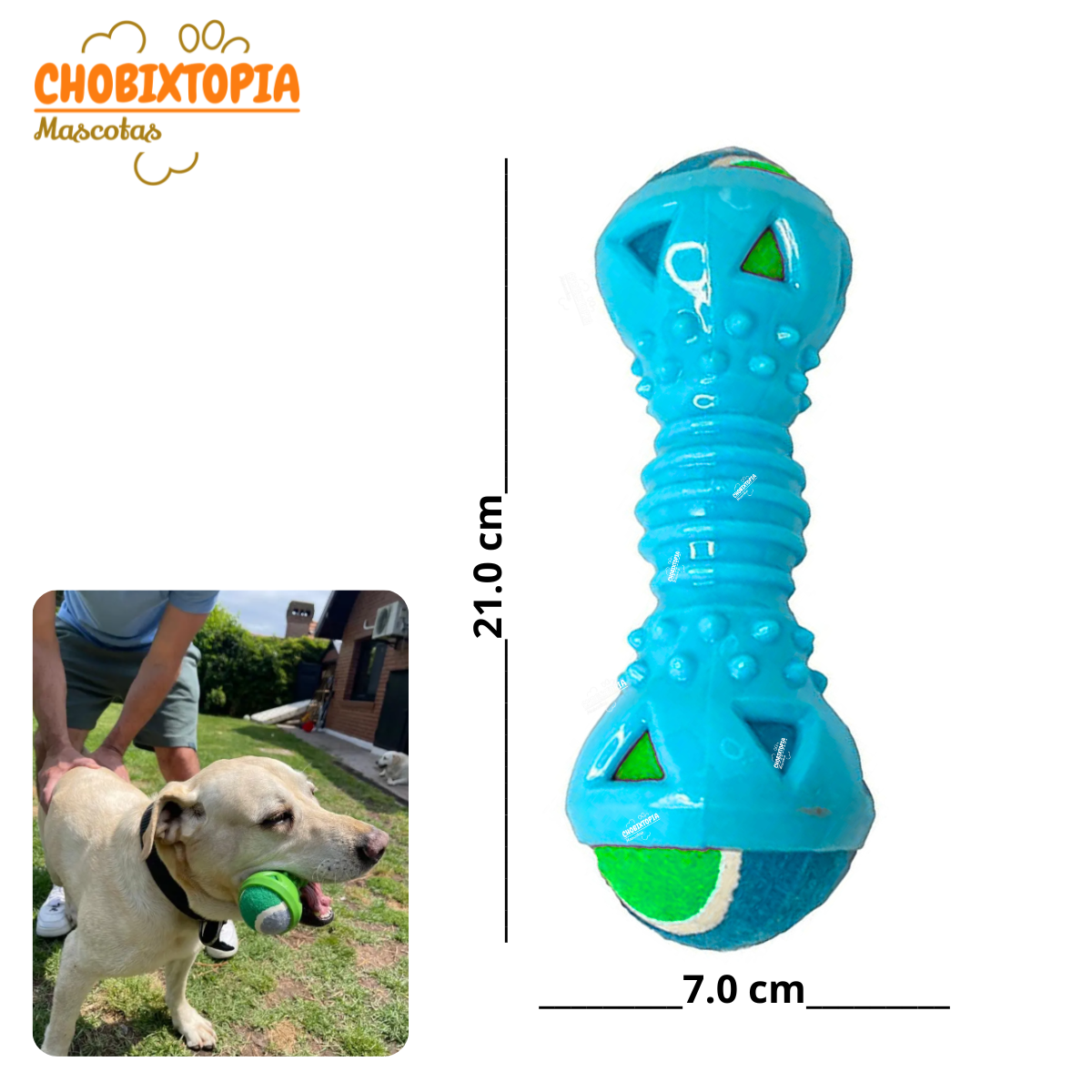 JUGUETE MANCUERNA DE GOMA CON PELOTA EXTRAIBLE PARA PERRO TURQUESA