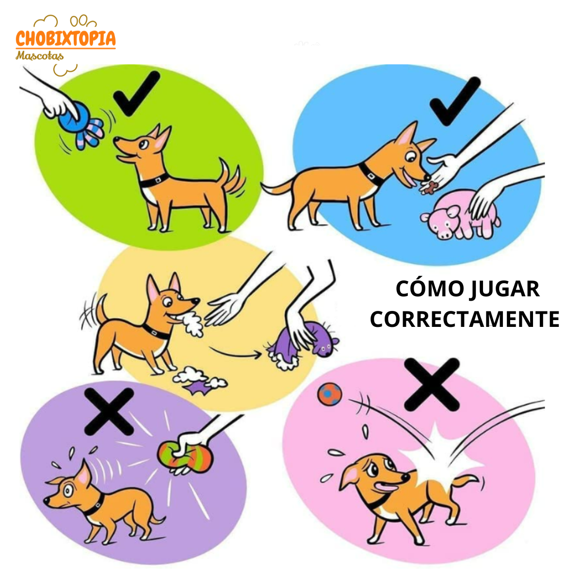 JUGUETE PARA MASCOTA-PERRO PAN CON HOT DOG-AZUL ELECTRICO