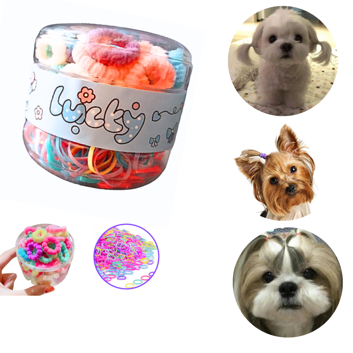 LIGAS DE COLORES PARA MASCOTAS (PERRO Y GATO)