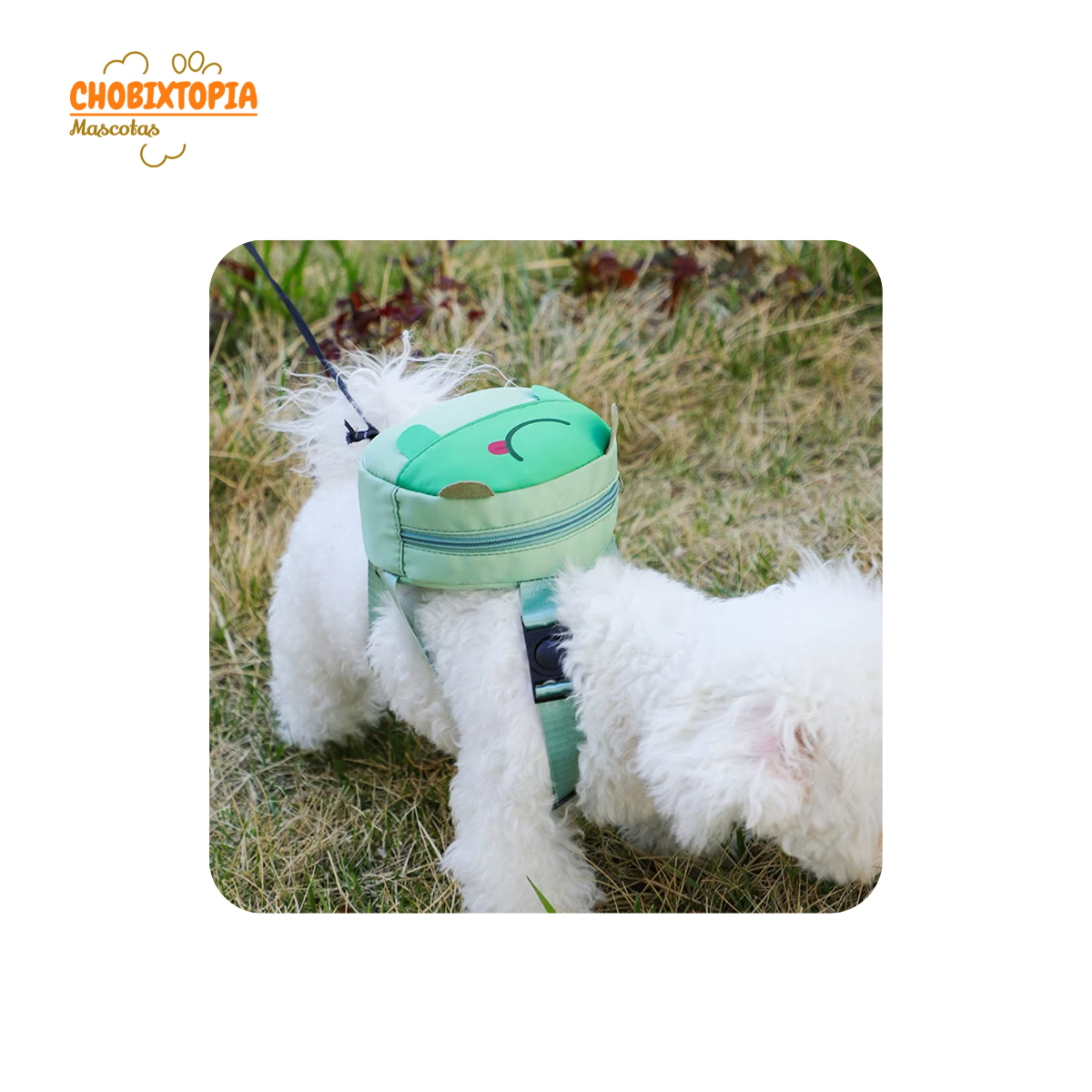 ARNES MOCHILA PARA MASCOTA RANITA VERDE