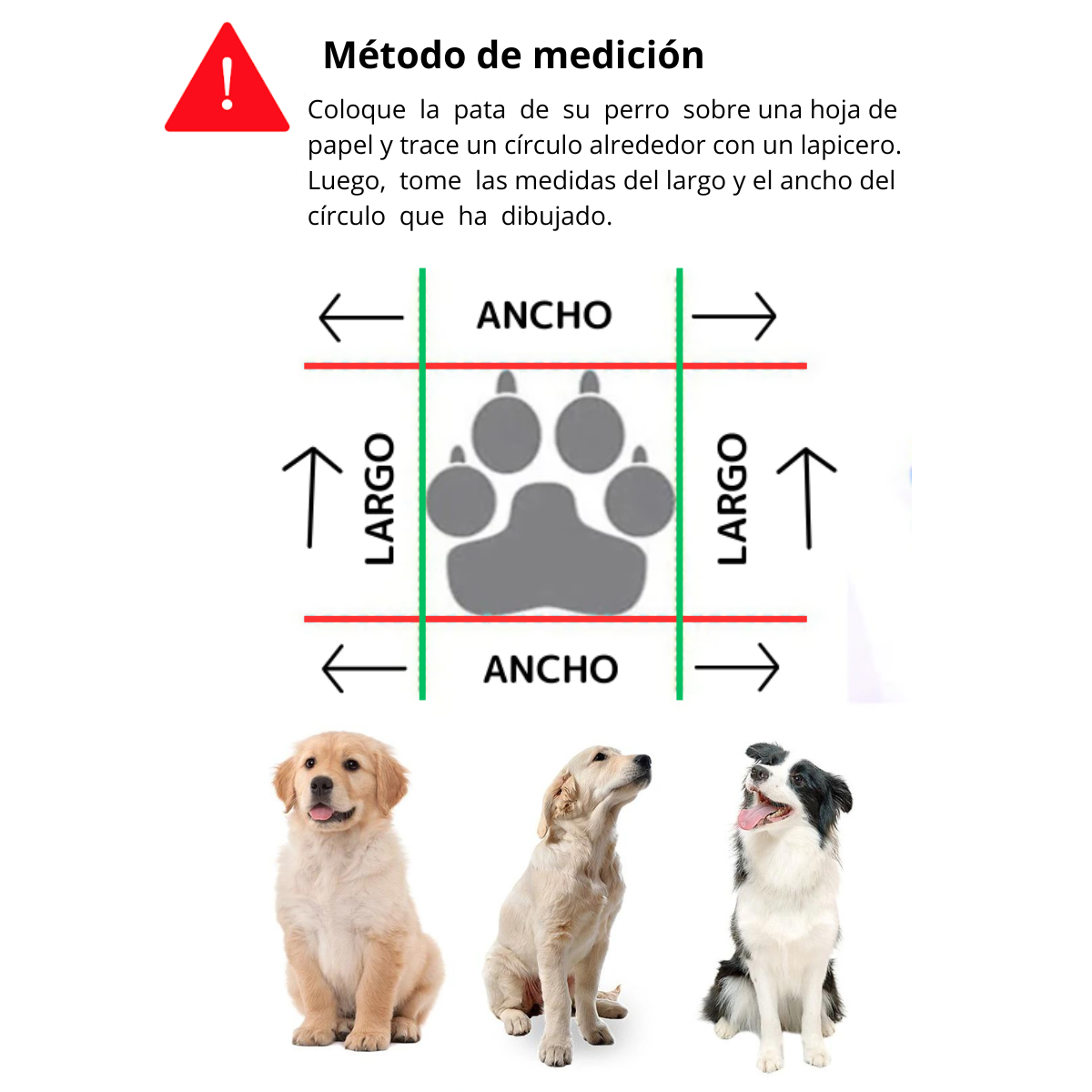 ZAPATOS IMPERMEABLES CELESTE