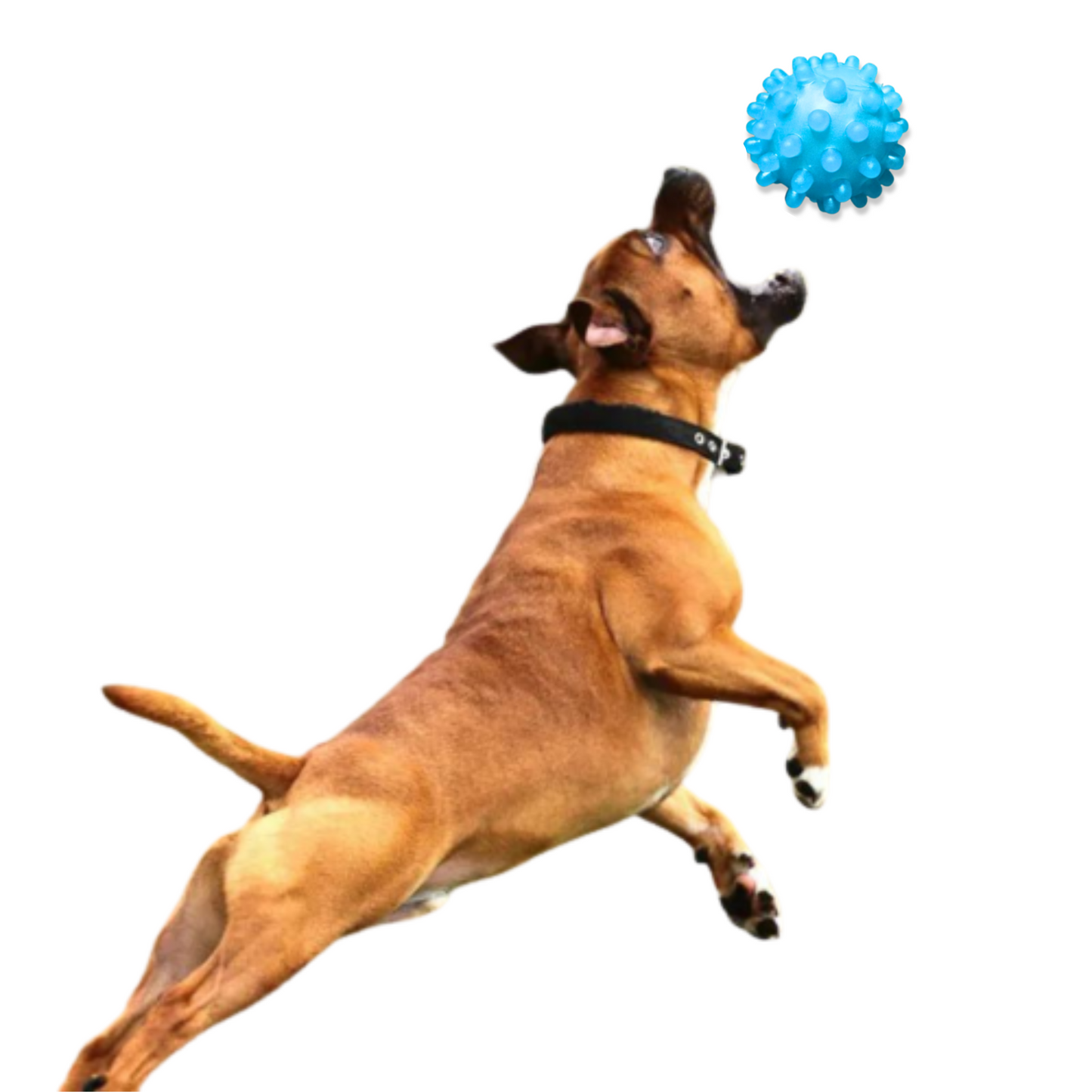 PELOTA CON PUAS PARA MASCOTA CELESTE