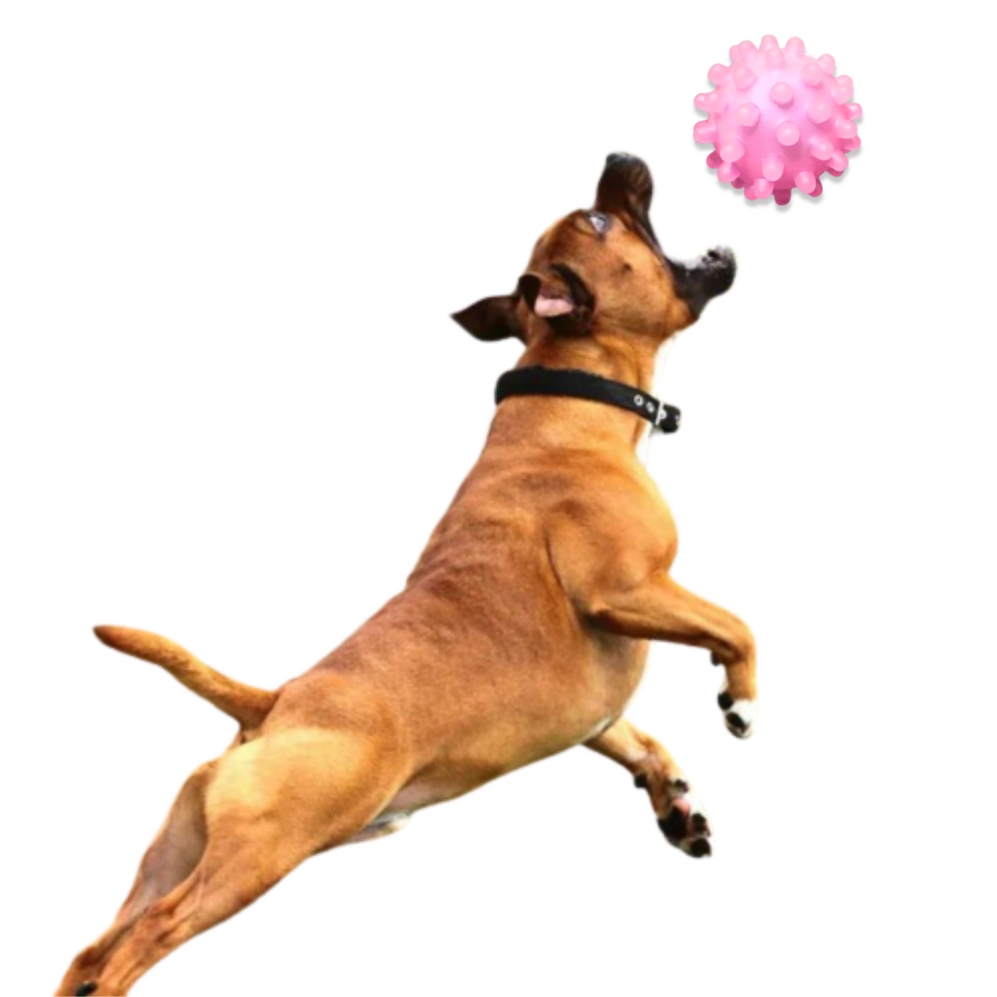 PELOTA CON PUAS PARA MASCOTA ROSADO