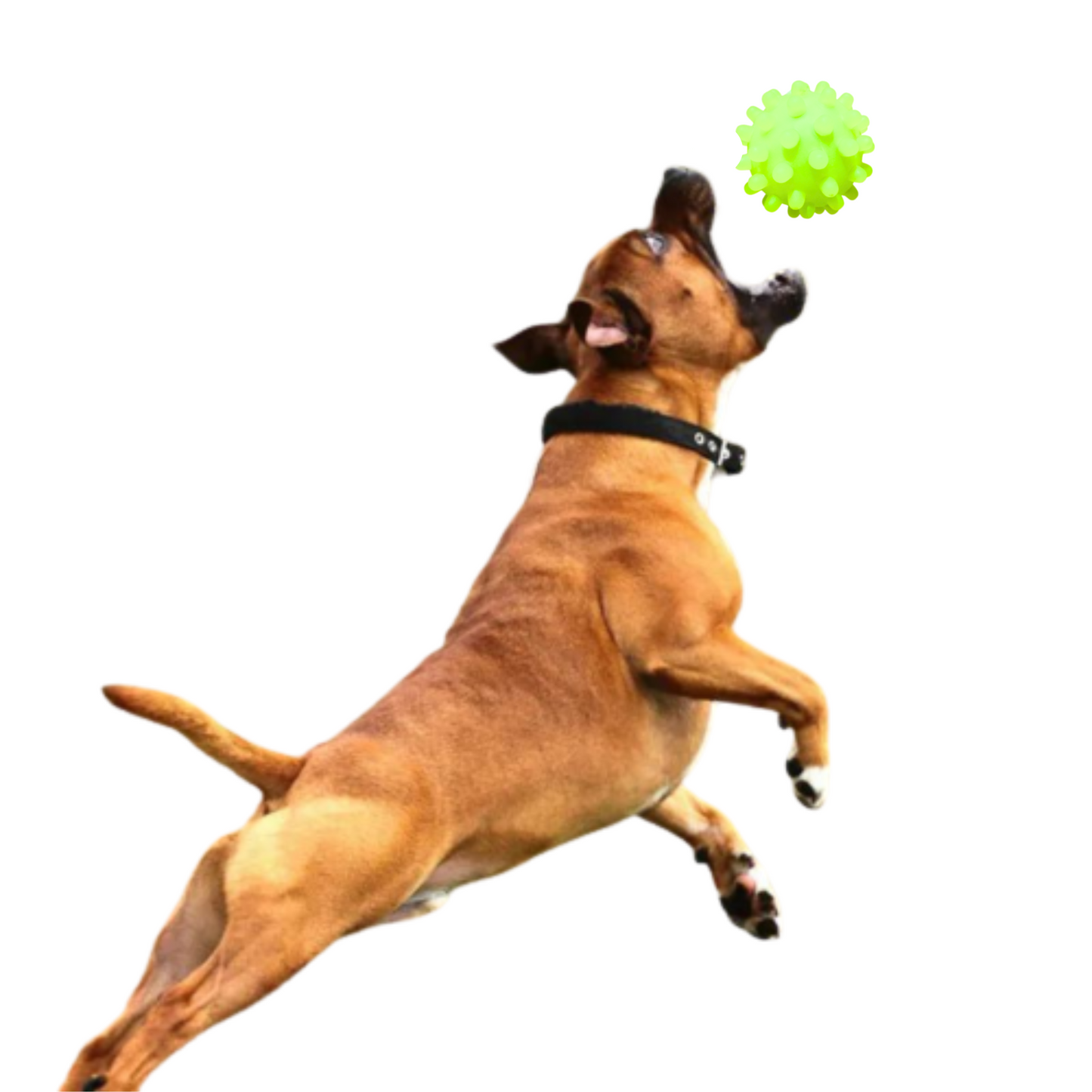 PELOTA CON PUAS PARA MASCOTA AMARILLO