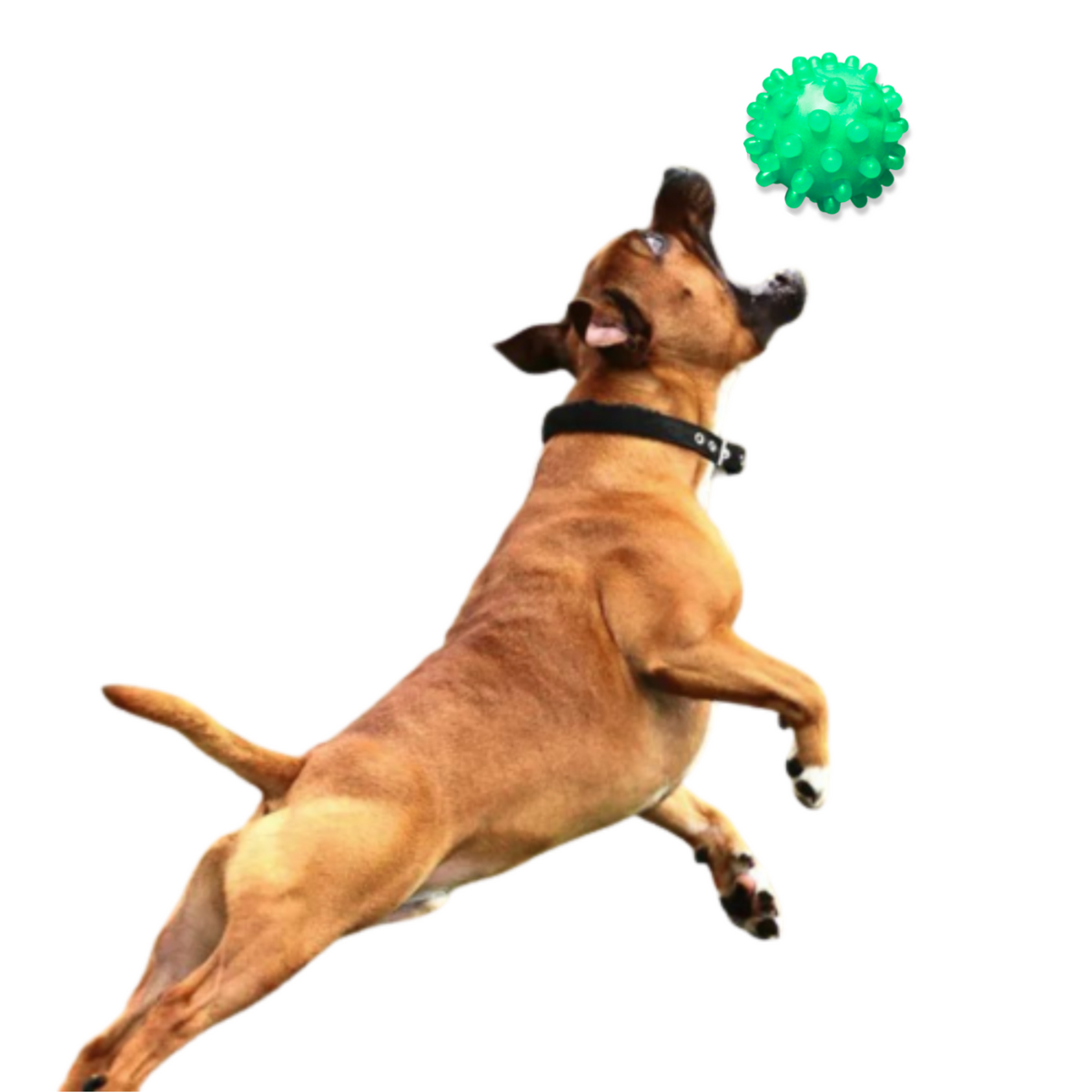 PELOTA CON PUAS PARA MASCOTA VERDE