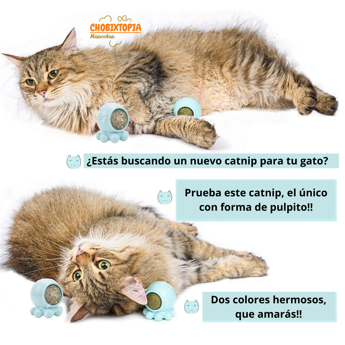JUGUETE CATNIP PULPITO JADE