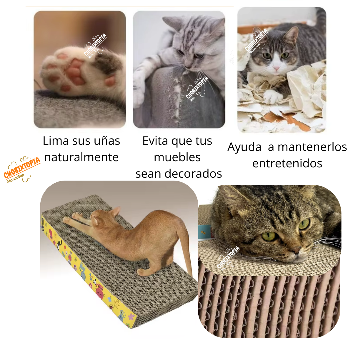 RASCADOR PARA GATOS FORMA ONDEADA DE GATITOS