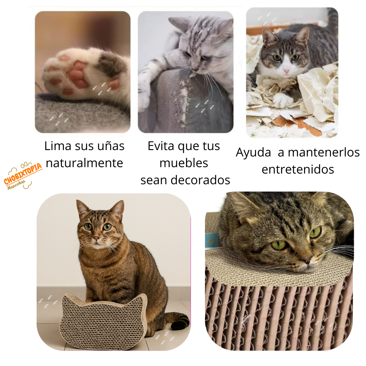 RASCADOR PARA GATOS FORMA CARA DE GATO
