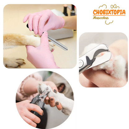 CORTAUÑAS TIJERA Y LIMA GATOS Y PERROS-MASCOTA PLOMO NUNBELL BORDE-PEQUEÑO