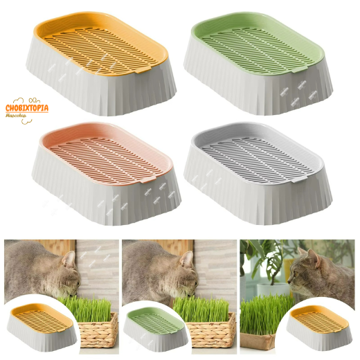 CAJA DE HIERBA GATERA MACETA PARA GATOS - GREY