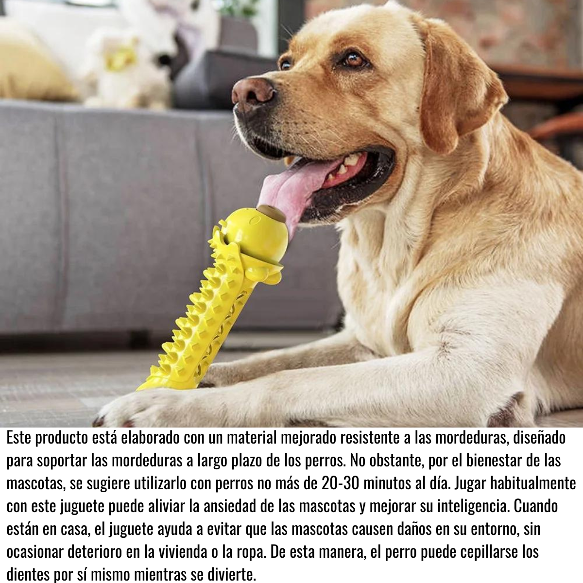 Juguete Masticable Para Perros - Cerdito Amarillo