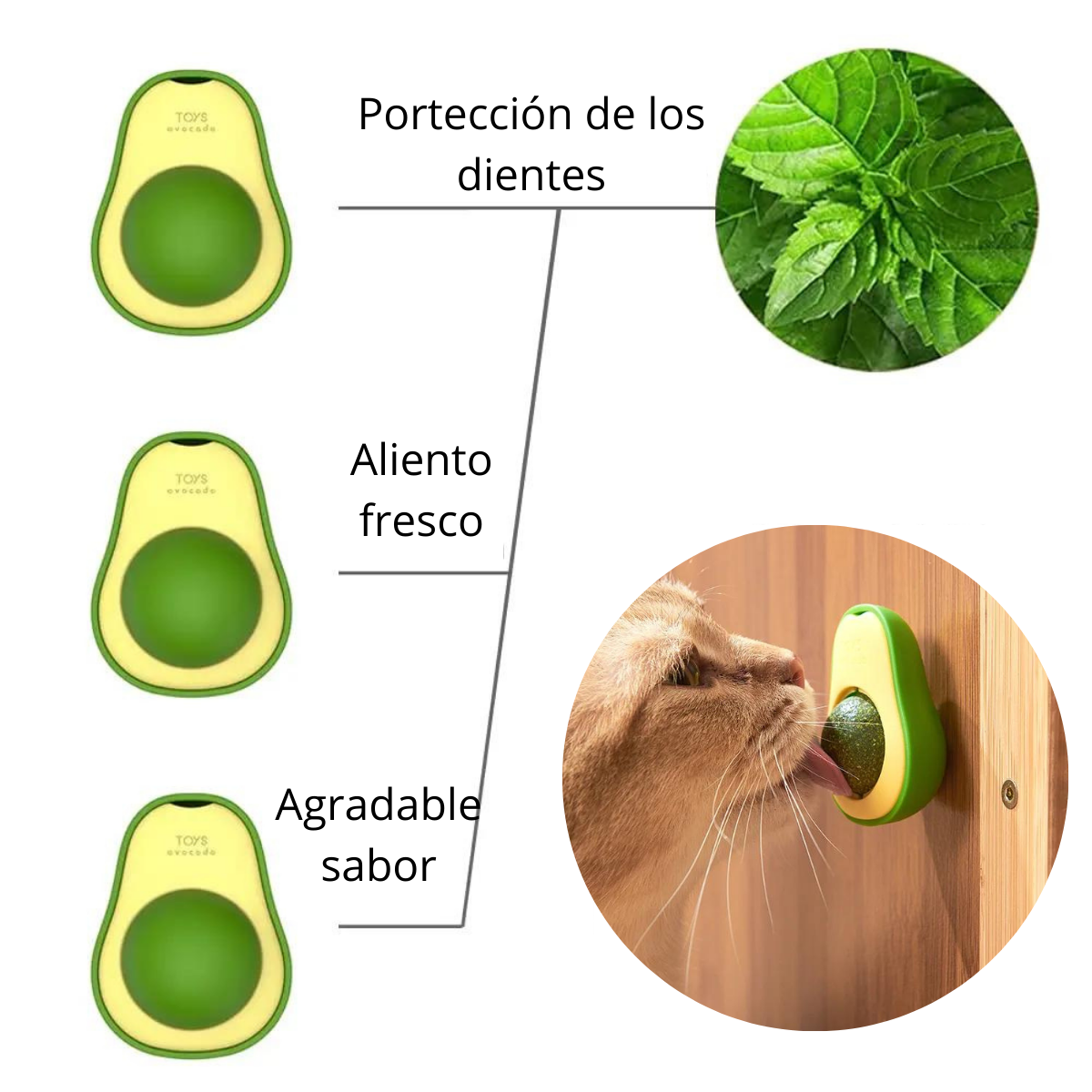 CATNIP PALTA PARA GATO