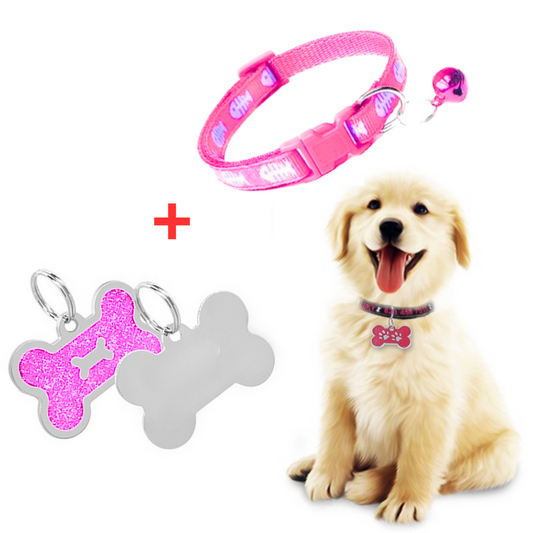 PLACA Y COLLAR PARA MASCOTAS CON CASCABEL - FUCSIA y FUCSIA