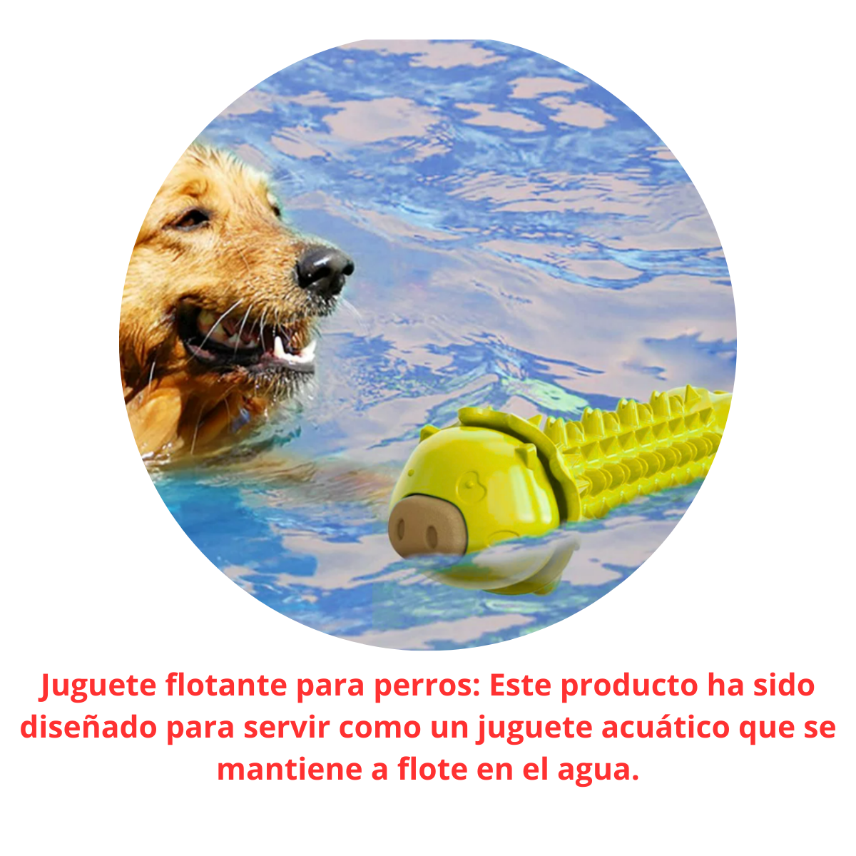 Juguete Masticable Para Perros - Cerdito Amarillo