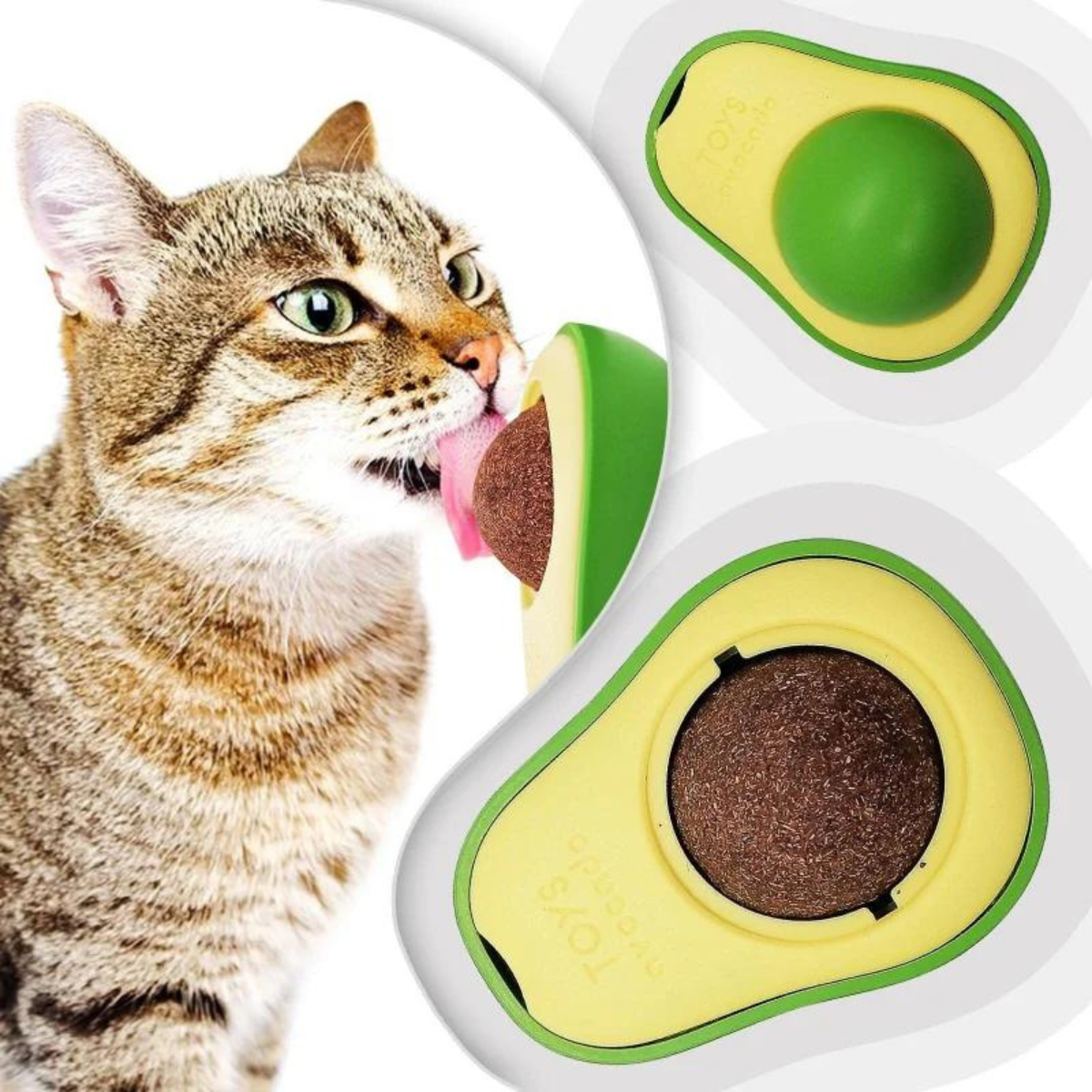 CATNIP PALTA PARA GATO