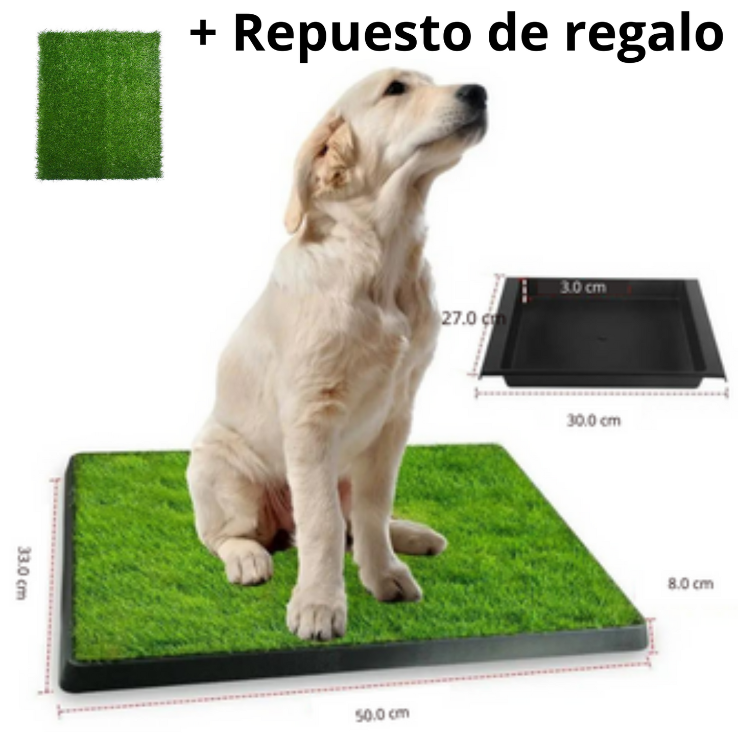 BAÑO PARA MASCOTAS - CESPED SINTETICO