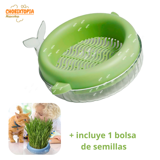HIERBA GATERA MACETA BALLENA PARA GATOS - VERDE OLIVO