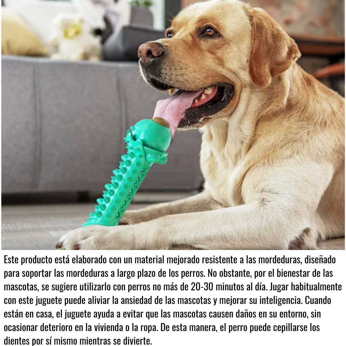 Juguete Masticable Para Perros - Cerdito Turquesa