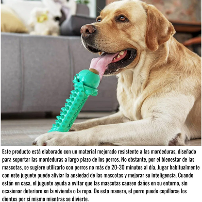 Juguete Masticable Para Perros - Cerdito Turquesa