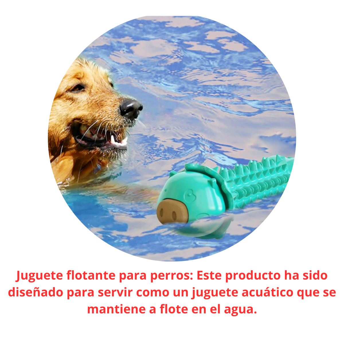 Juguete Masticable Para Perros - Cerdito Turquesa