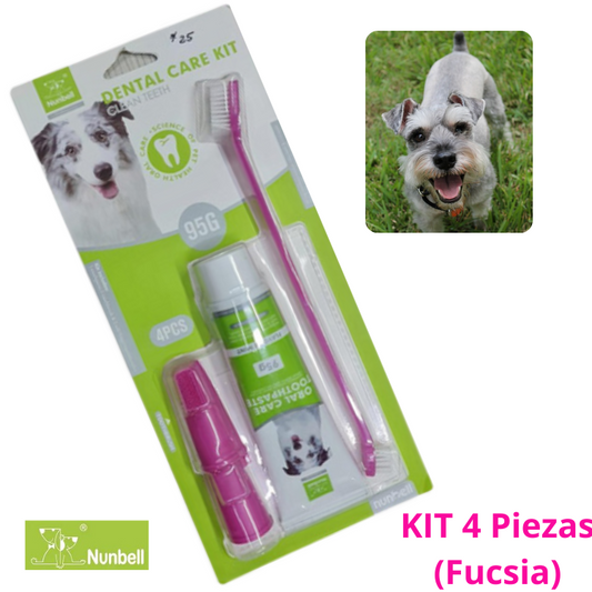 PASTA DENTAL CARE KIT X 4 FUCSIA