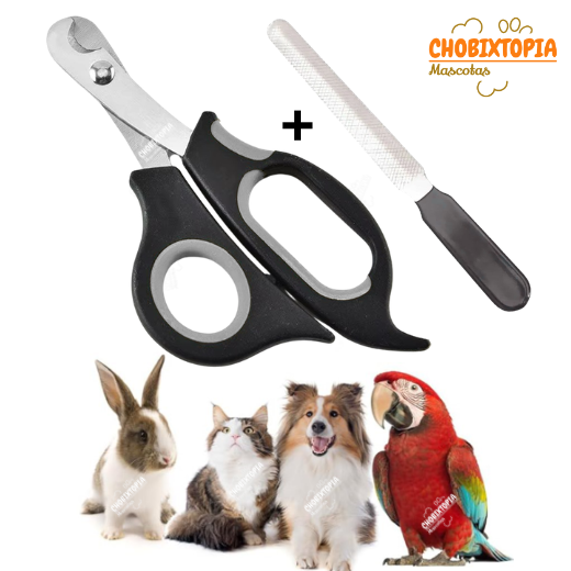 CORTAUÑAS TIJERA Y LIMA GATOS Y PERROS-MASCOTA PLOMO NUNBELL BORDE-PEQUEÑO