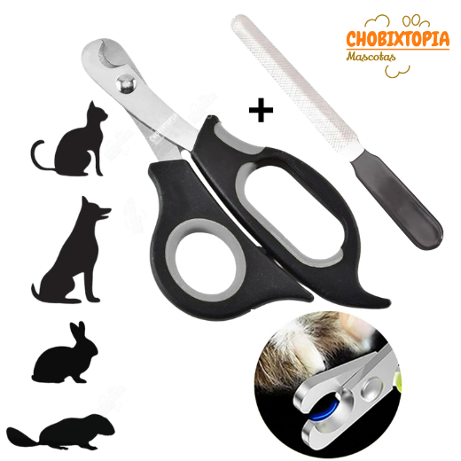 CORTAUÑAS TIJERA Y LIMA GATOS Y PERROS-MASCOTA PLOMO NUNBELL BORDE-PEQUEÑO