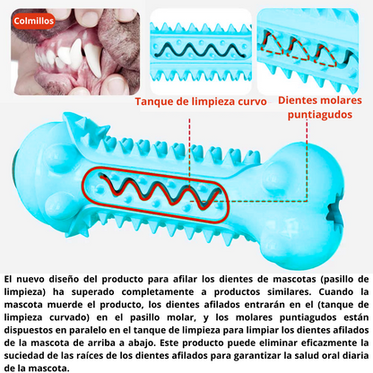 Juguete Masticable Para Perros - Cerdito Turquesa