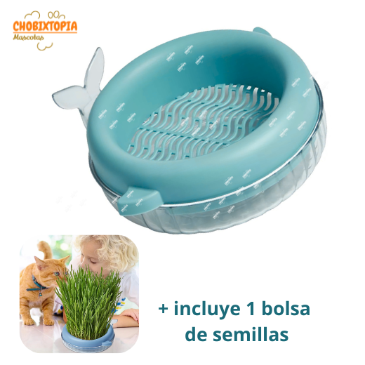 HIERBA GATERA MACETA BALLENA PARA GATOS - CELESTE