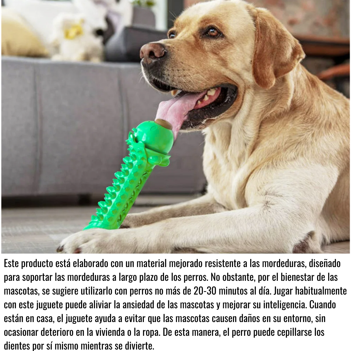 Juguete Masticable Para Perros - Cerdito Verde