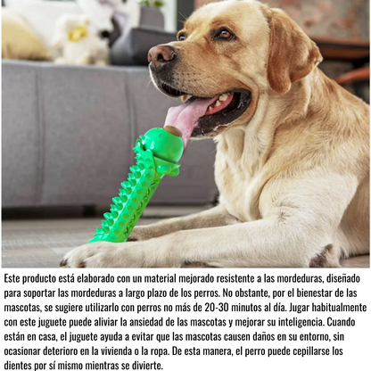 Juguete Masticable Para Perros - Cerdito Verde