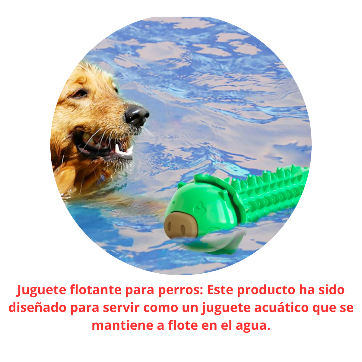 Juguete Masticable Para Perros - Cerdito Verde